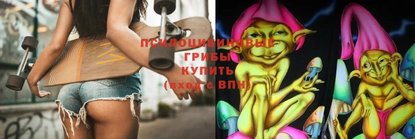mdpv Богородицк