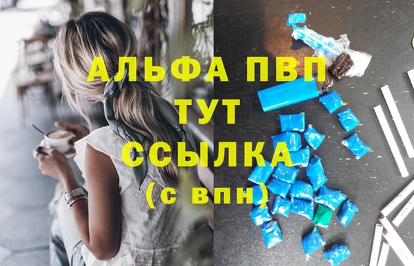 mdpv Богородицк