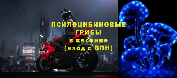 дживик Богданович