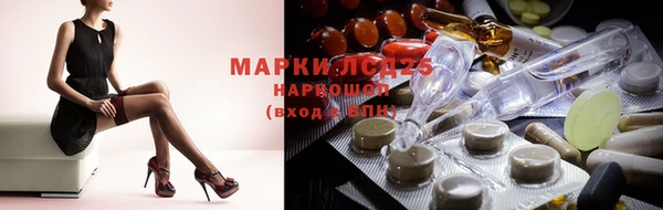 mdpv Богородицк